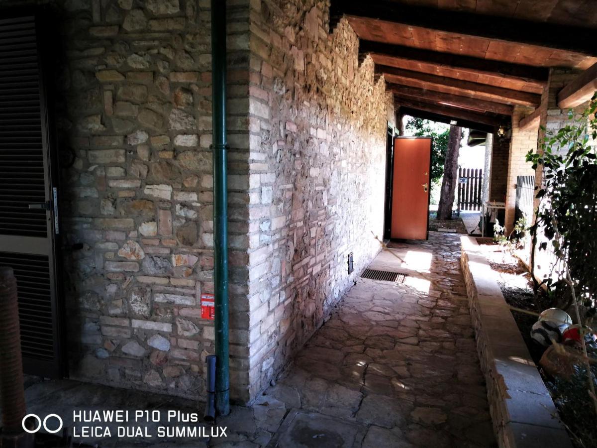Villa Con Piscina أسيسي المظهر الخارجي الصورة